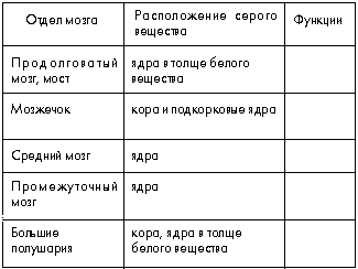 Используя обозначения рисунка заполните таблицу отделы головного мозга и их функции