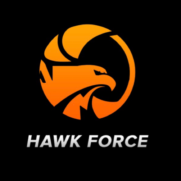 Hawk Force 🔥 Instabio Linkbio