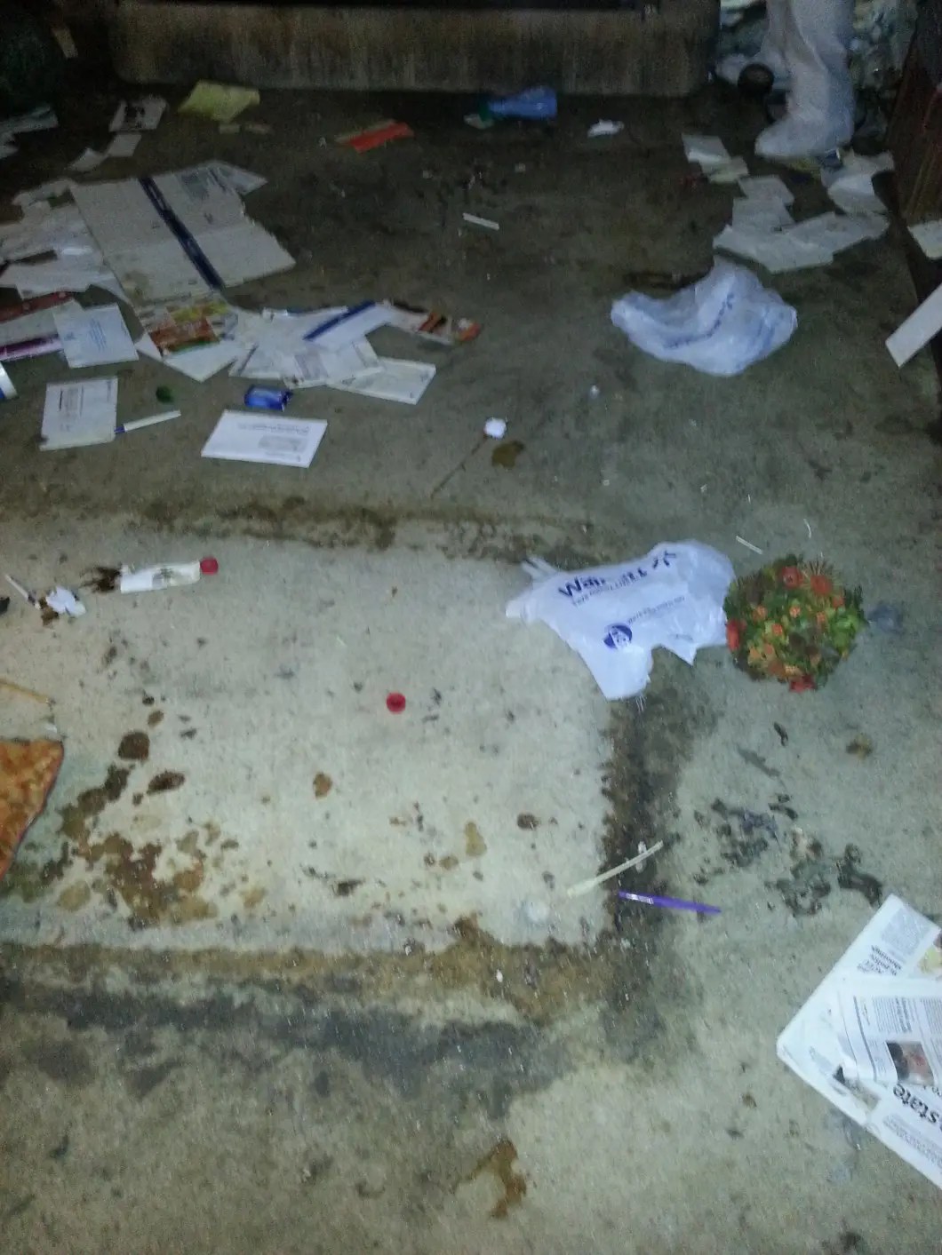 Rodent Droppings & Feces Cleanup Bio1 San Diego