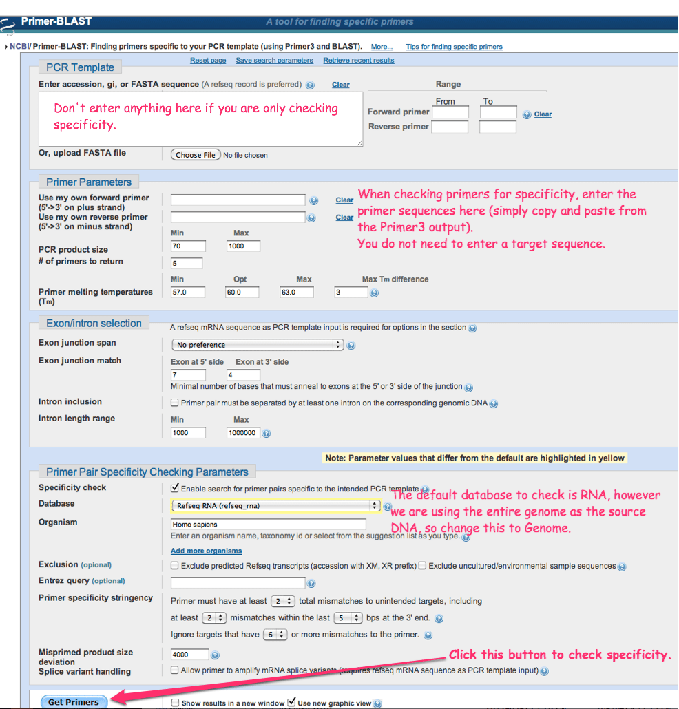 NCBI PrimerBLAST Guide LabXchange, 59 OFF