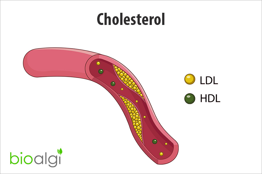 Cholesterol bioalgi