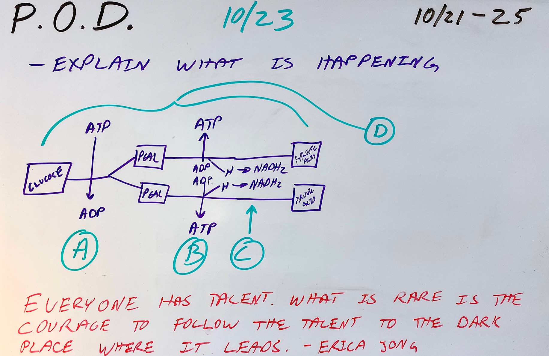 Prefix/Suffix Quiz 5 Mr. Williamson's Biology Class