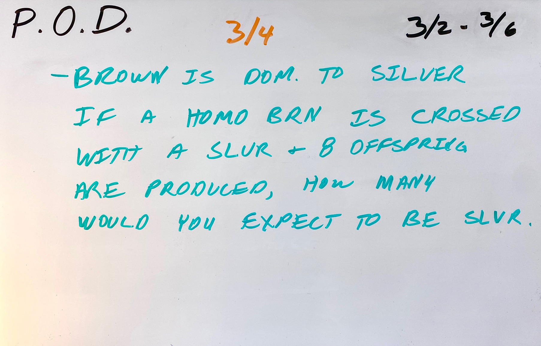 Prefix/Suffix Quiz 12 Mr. Williamson's Biology Class