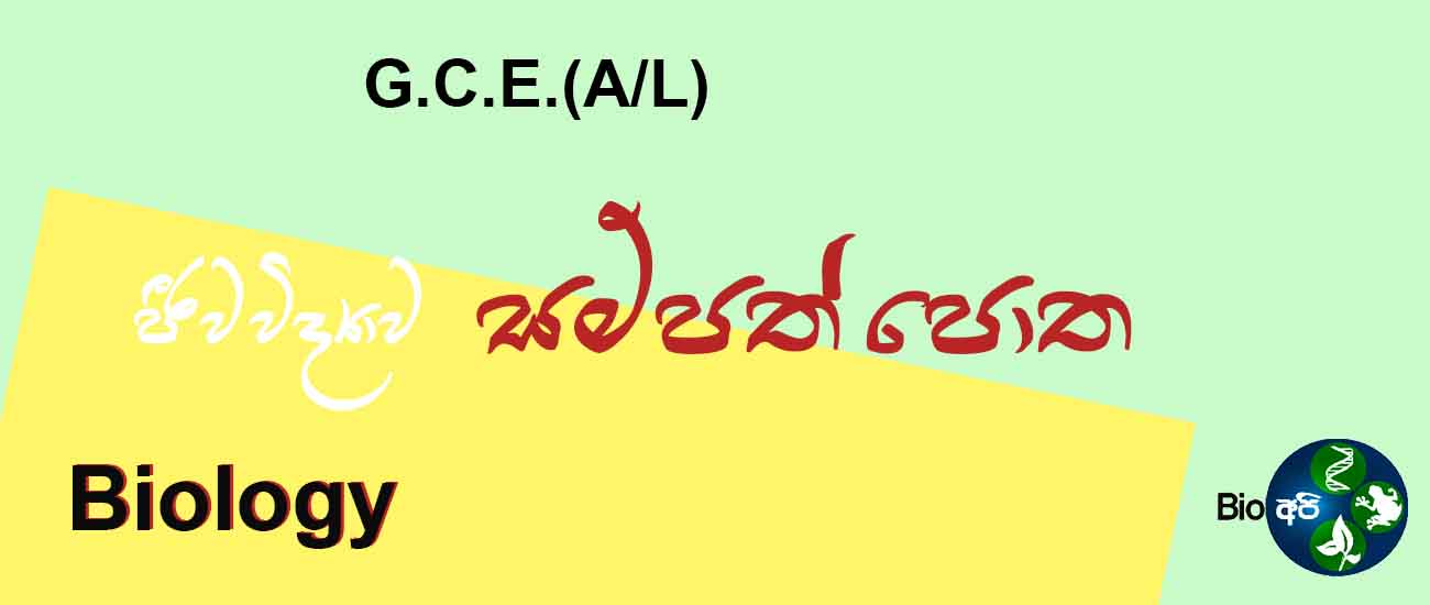 Download resource Books Bio Api Download resource Books Bio Api