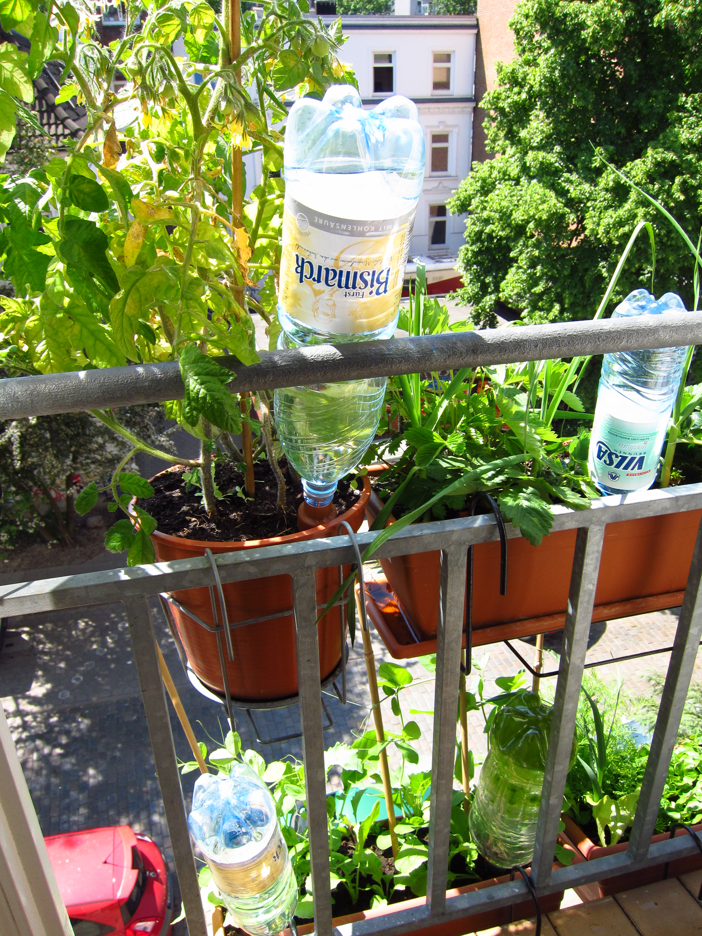 Erfahrungsbericht: Bewässerung Mit Aufsätzen Für Pet-Flaschen | Biobalkon