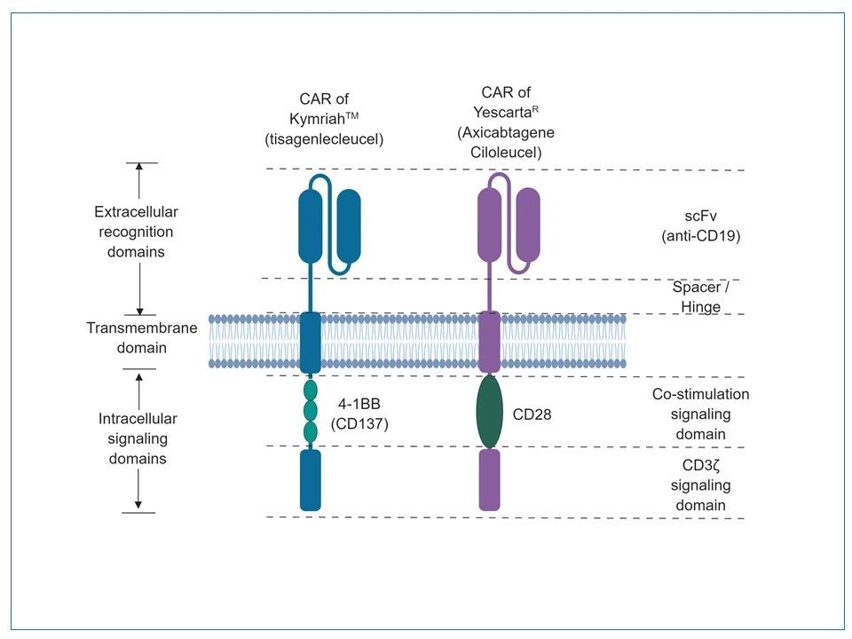 连环画 新一代CART技术