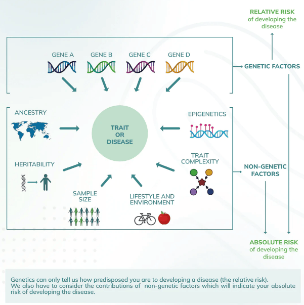 Release of Polygenic Risk Score methodology What does it mean to our