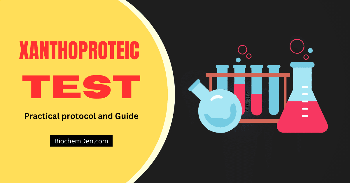 Xanthoproteic Test Definition, Principle, Procedure, Result, Uses