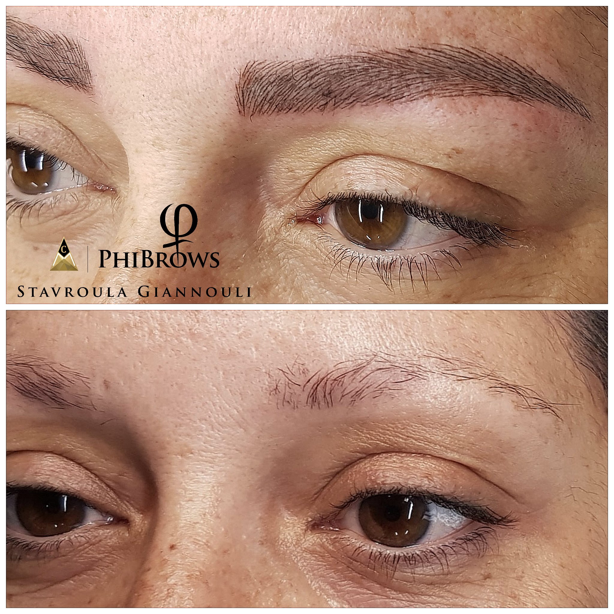 Bold Brows Phibrows Biocolours