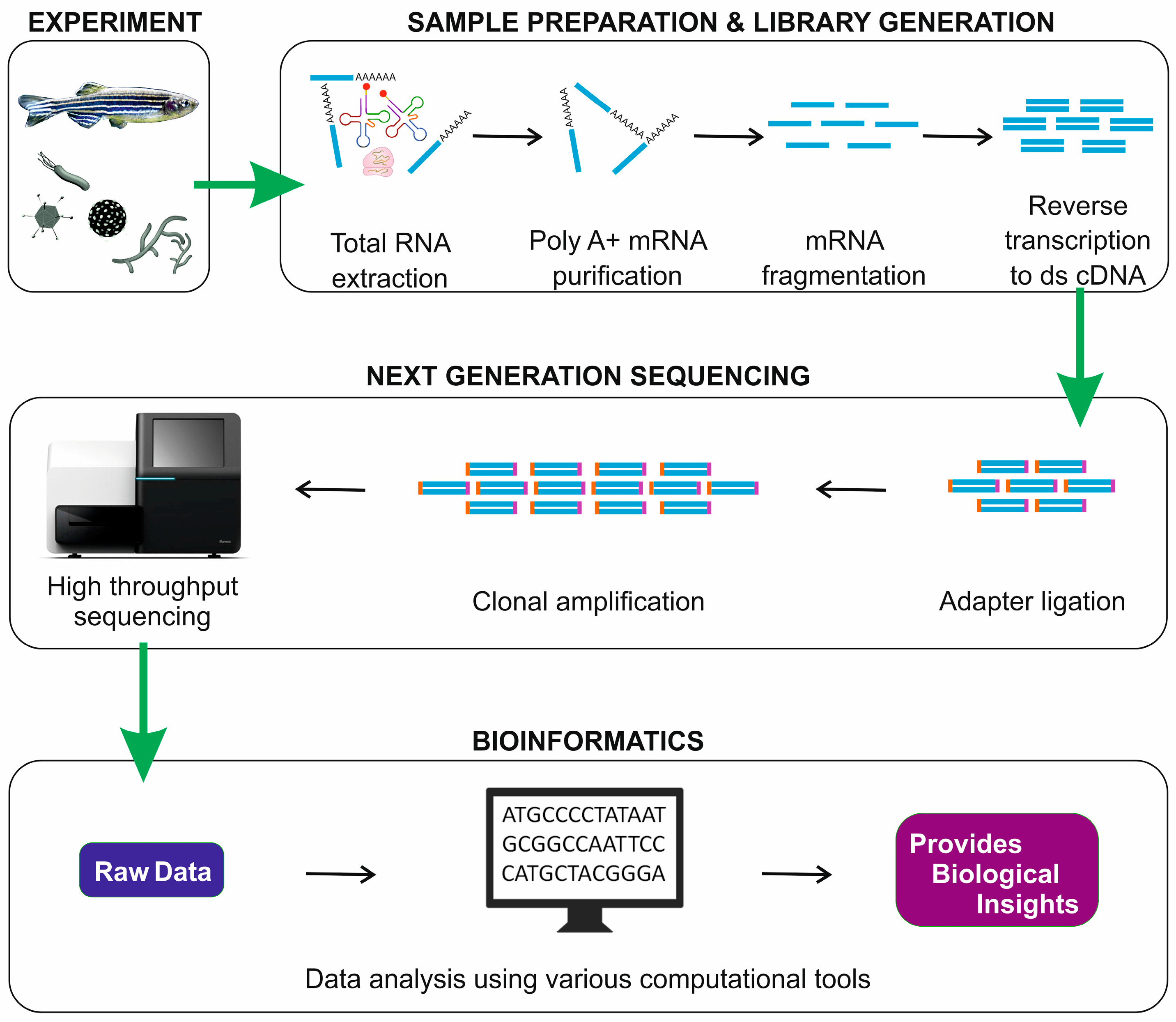mRNAseq