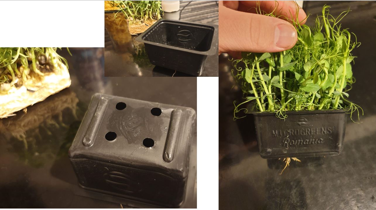 Microgreen Drainage Pot Biodegradable and Compostable Pots