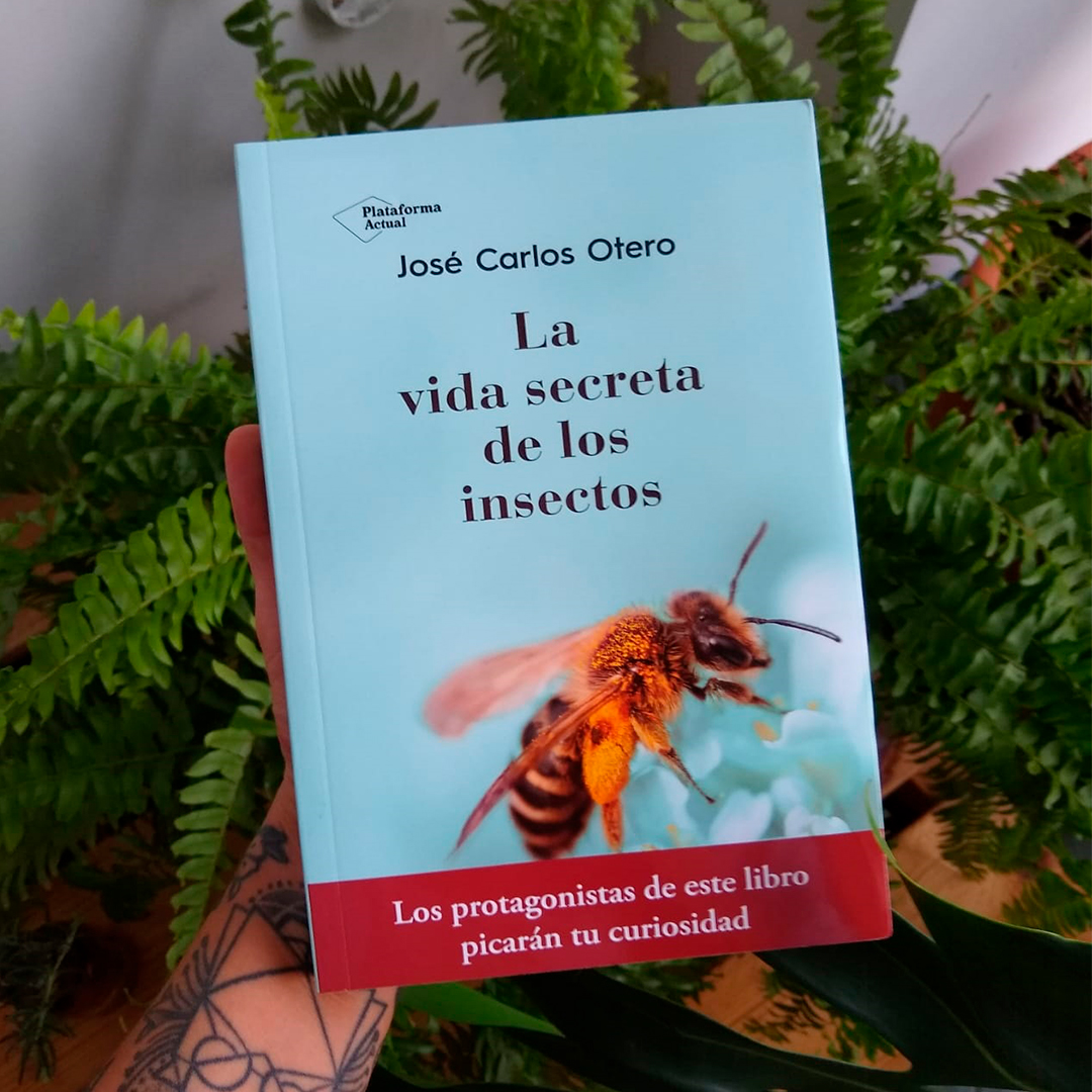 La vida secreta de los insectos Productos Sostenibles BIODegradables
