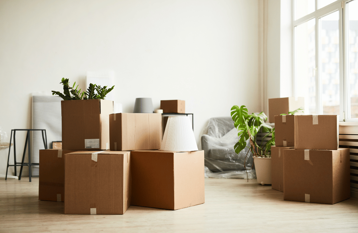 EcoFriendly Shipping Boxes Biodegradable Tech Solutions