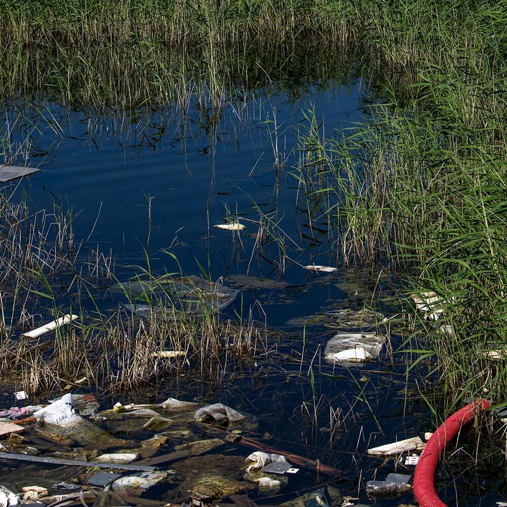 Law for nature Biodiversity Law Centre