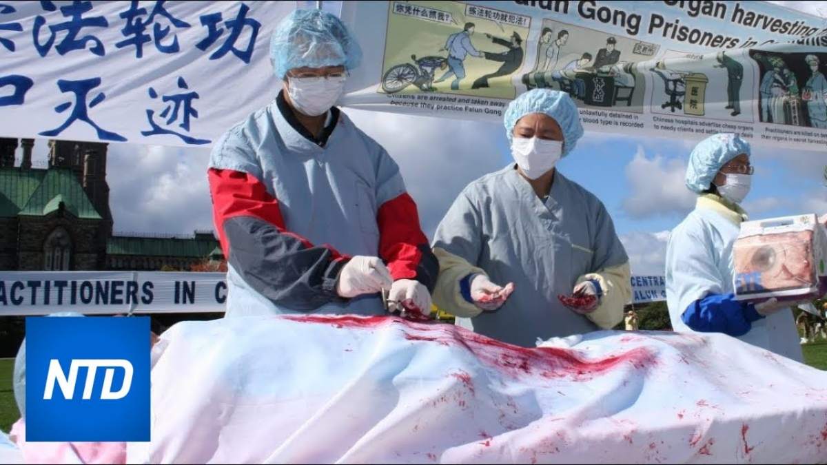 China responds to allegations of organ harvesting BioEdge