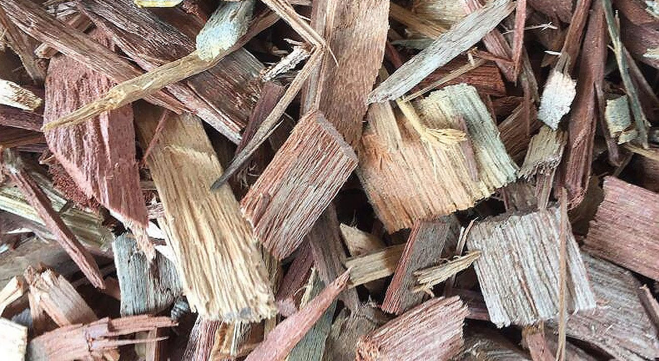 Wood Chip BIOENECO