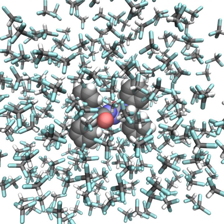 Researchers create a photographic film of a molecular switch