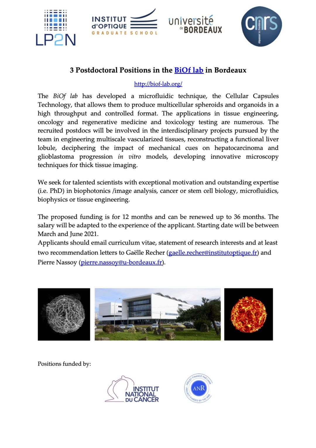 We have 3 postdoc positions available > Join us! BiOf