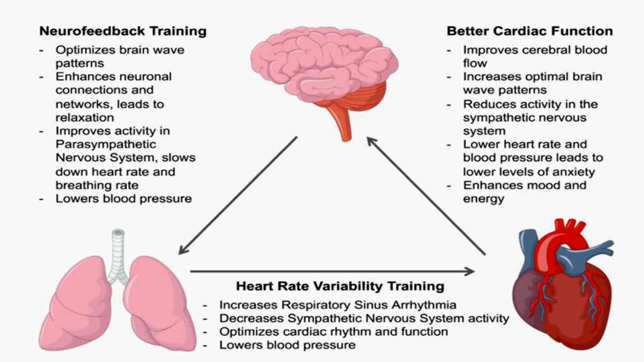 Biofeedback therapy training, Modalities and Sphere of Use