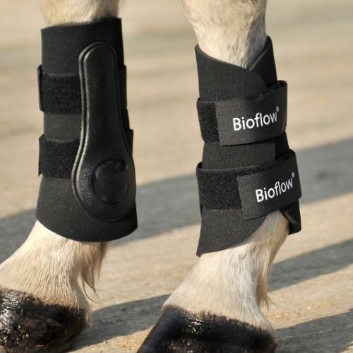 Horse Boots Bioflow