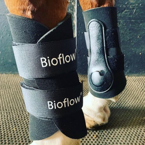 Horse Boots Bioflow