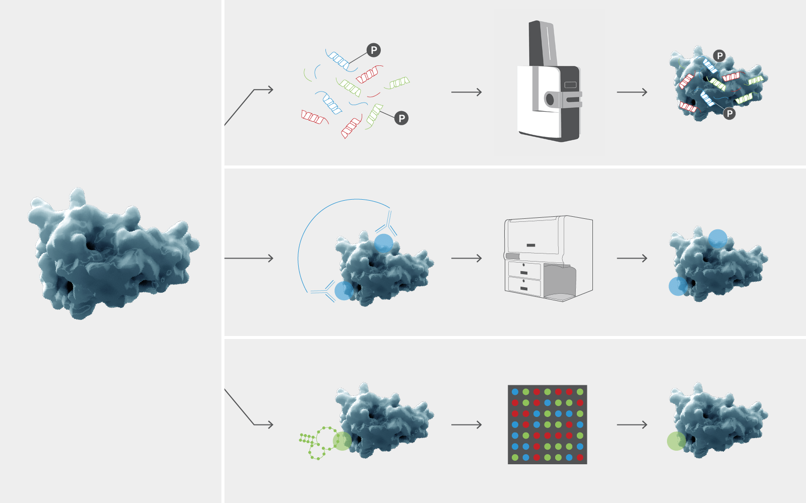 Advantages of Mass Spectrometry Biomarker Discovery Proteomics