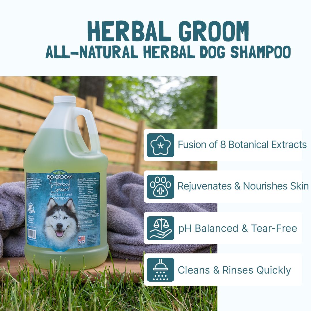 Herbal Groom® TearFree Dog Shampoo BioGroom