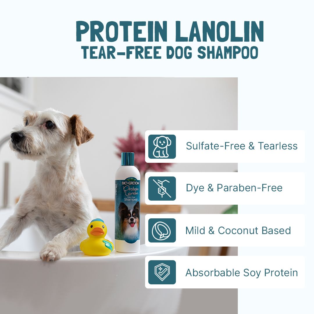 Protein Lanolin Tear Free Dog Shampoo BioGroom