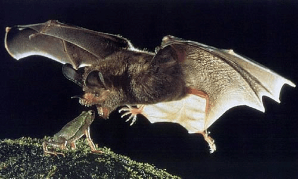 April 2014 BioGrounds