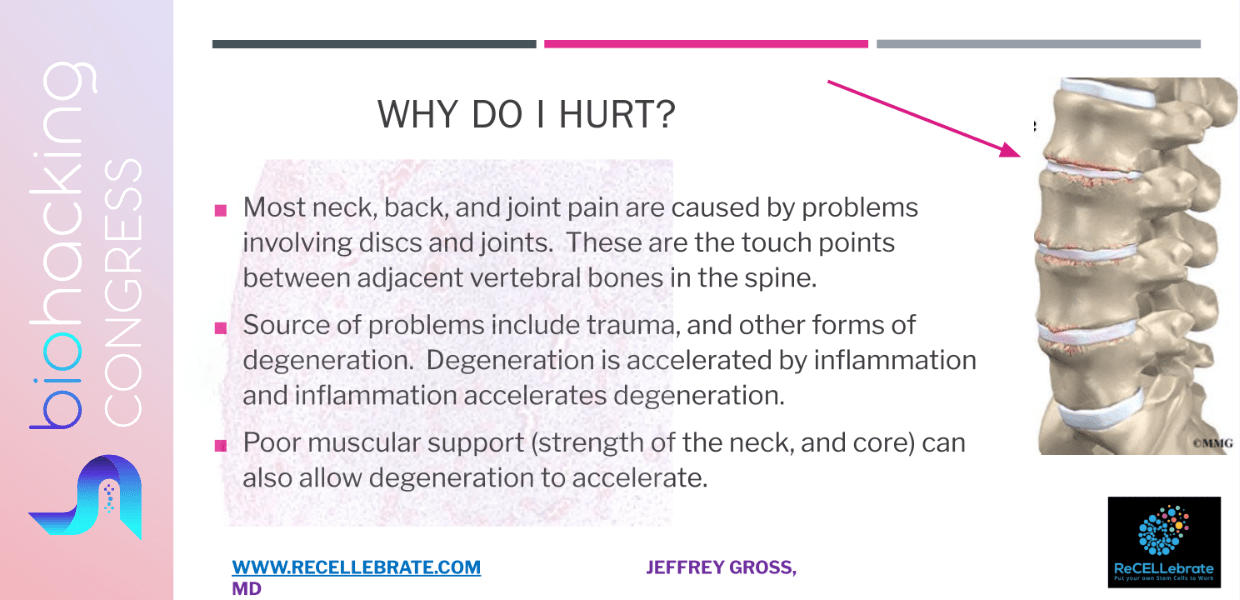 BiohackingCongress Stem Cell Activation To Regenerate Spinal Discs