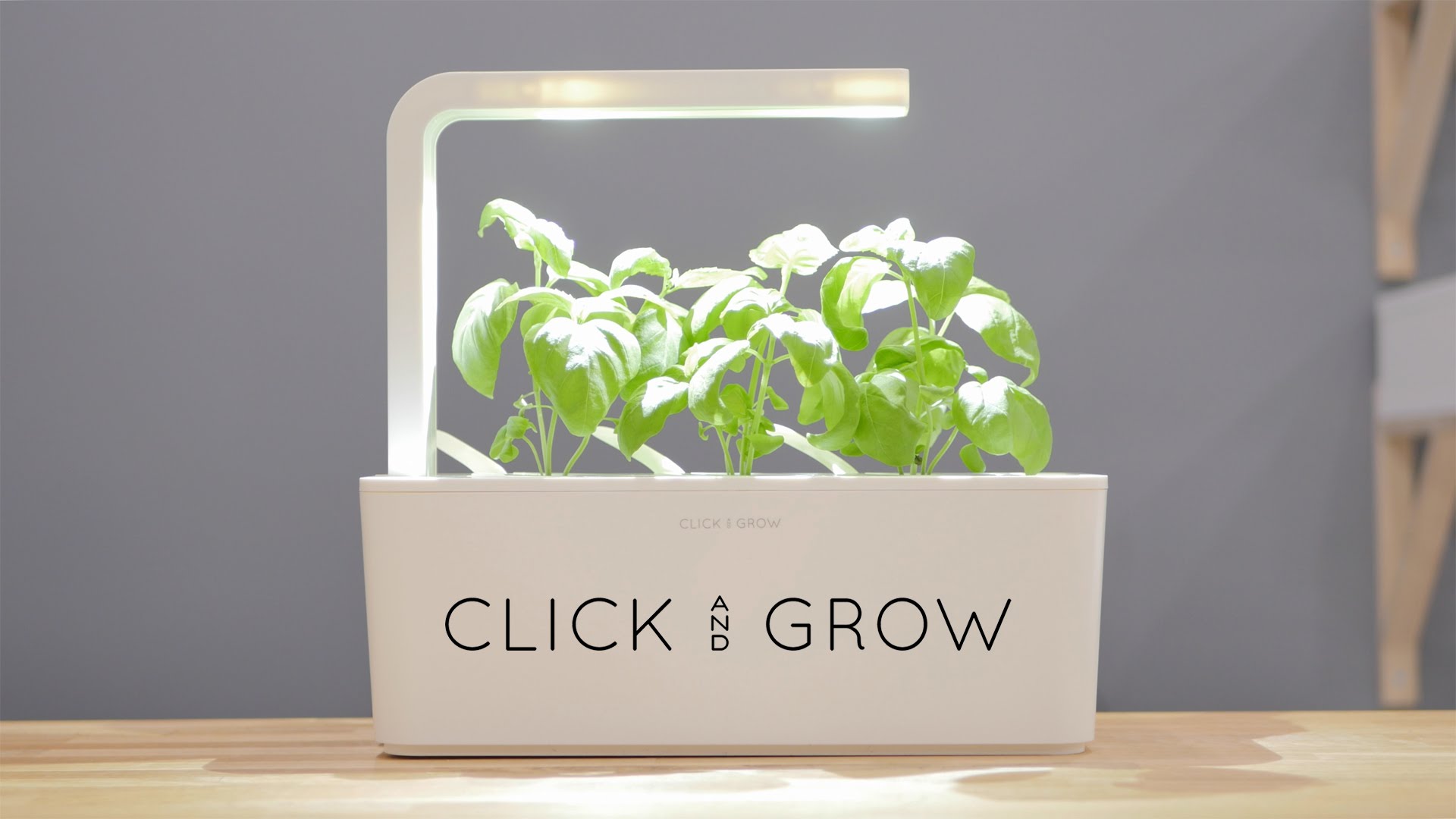 Smart gardening growing plants at home with minimal