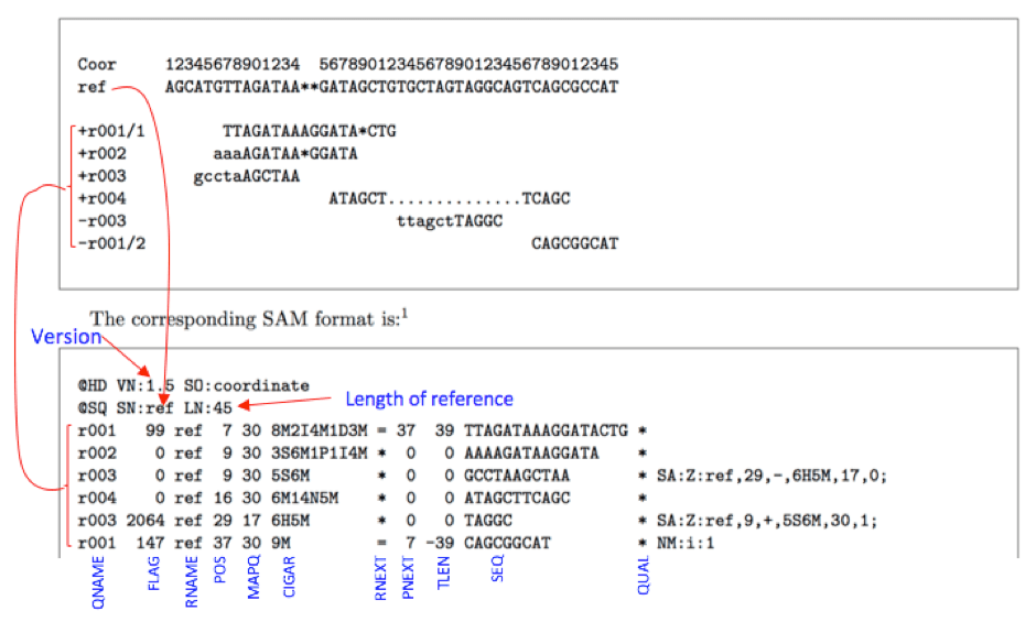 File Formats Tutorial Computational Biology Core (2023)