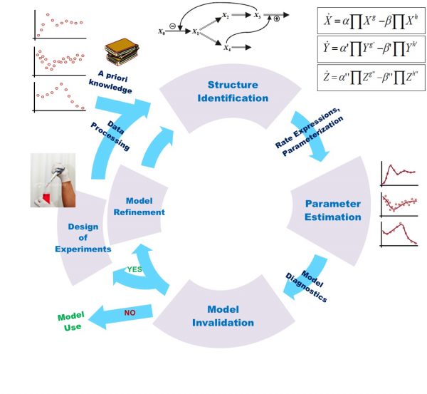 Introduction to Mathematical Modelling (Last Part) Bioinformatics Review