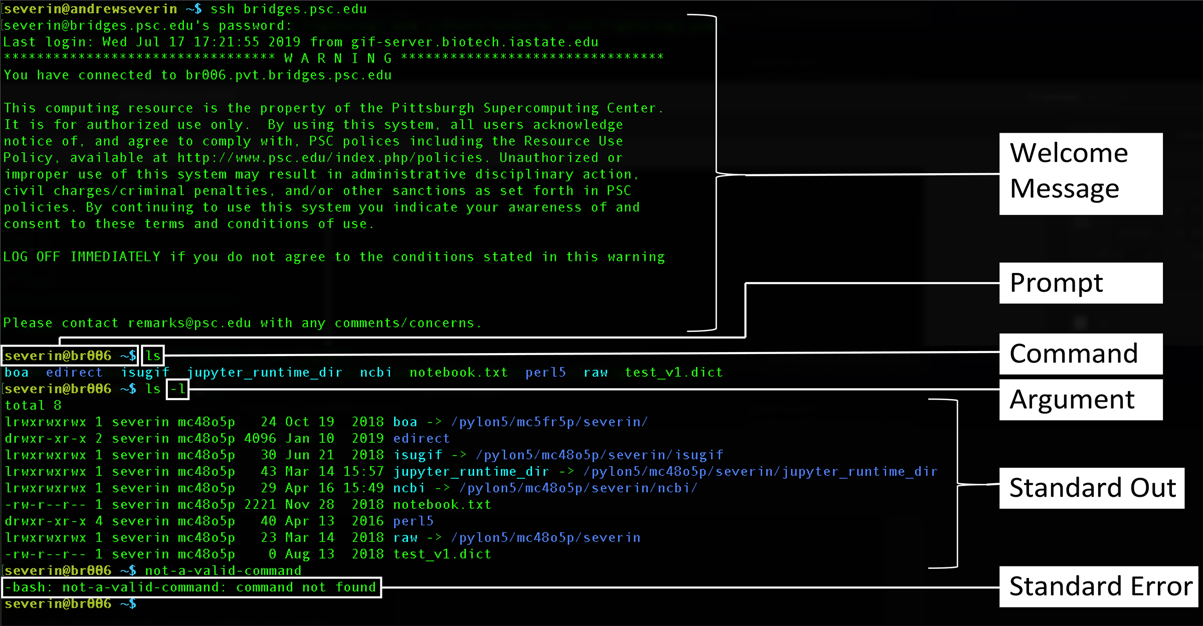 Introduction to Unix Bioinformatics Workbook