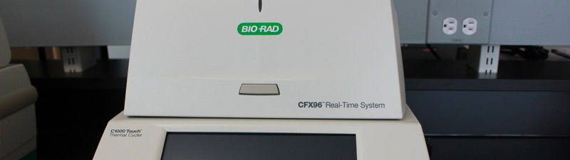 PCR Detection Systems CFX C1000 Thermal Cyclers with Dual 48/48