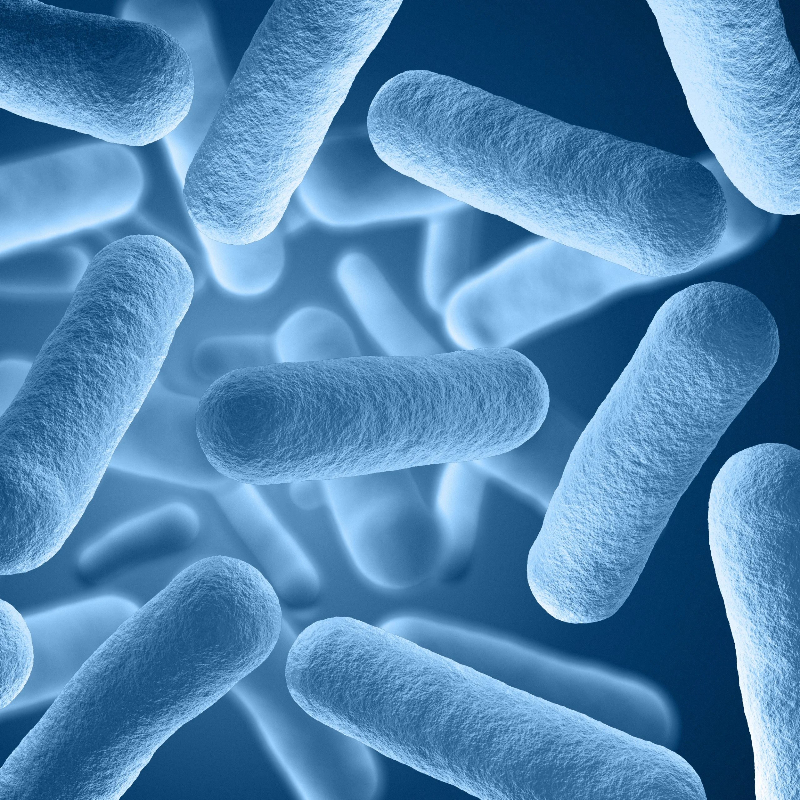 E. coli for Climate Change