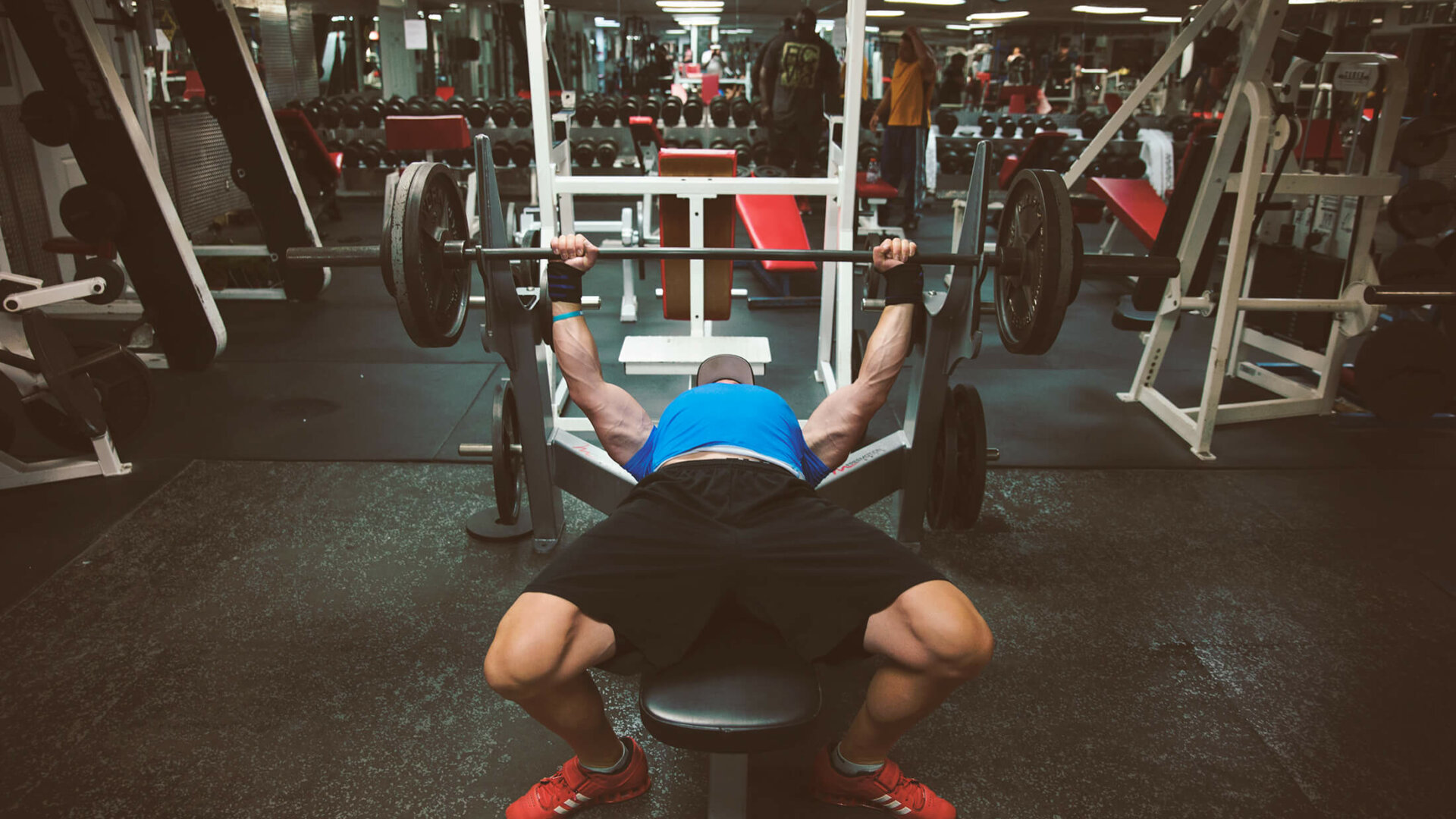 Three Accessories for a Better Bench Biolayne