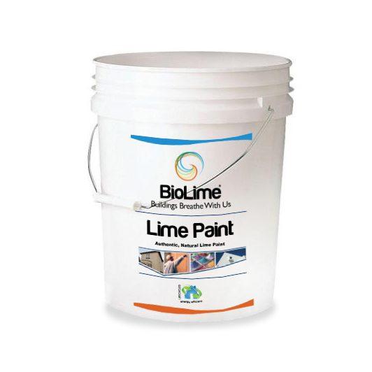 Durable and Sustainable Lime Plasters BioLime