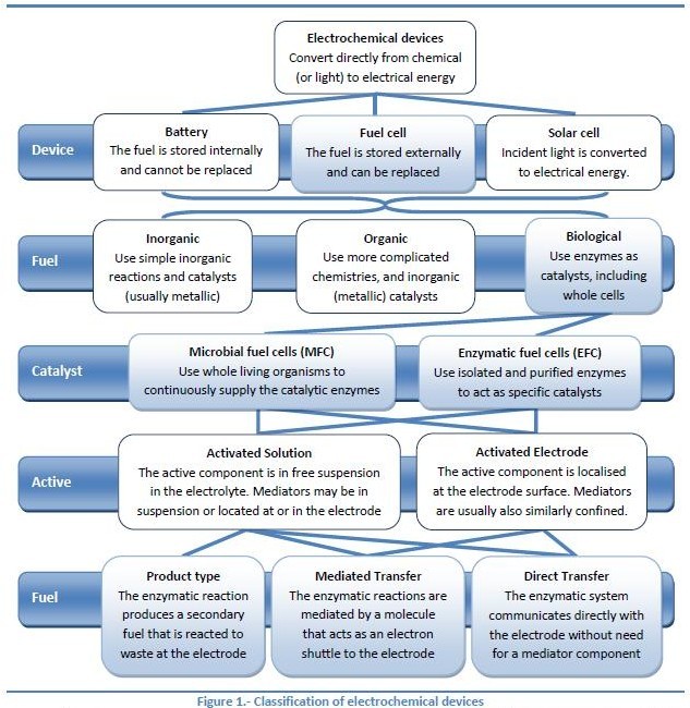 01. About Biological fuel cells