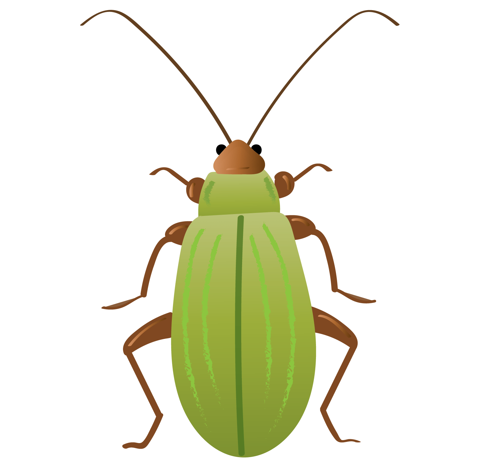 A Natural Control for Corn Rootworms BioLogic Company