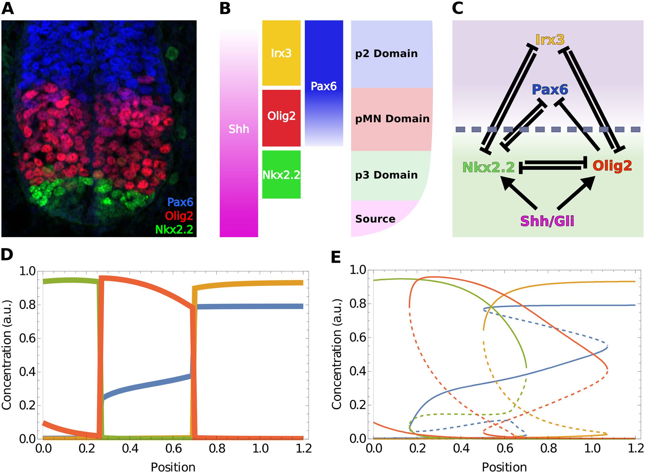 Predicting infectious disease epidemics, probing gene regulatory