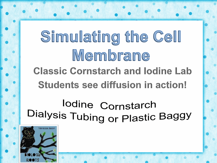 Dialysis Tubing Diffusion