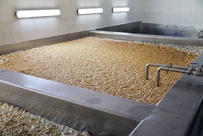 Anaerobic Respiration The Definitive Guide Biology Dictionary