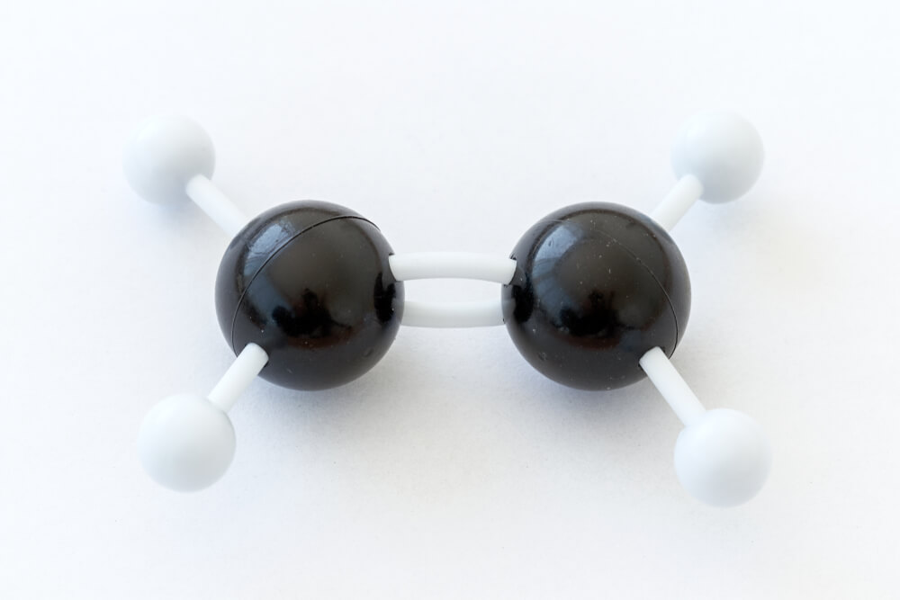 Covalent Bond Biology Dictionary