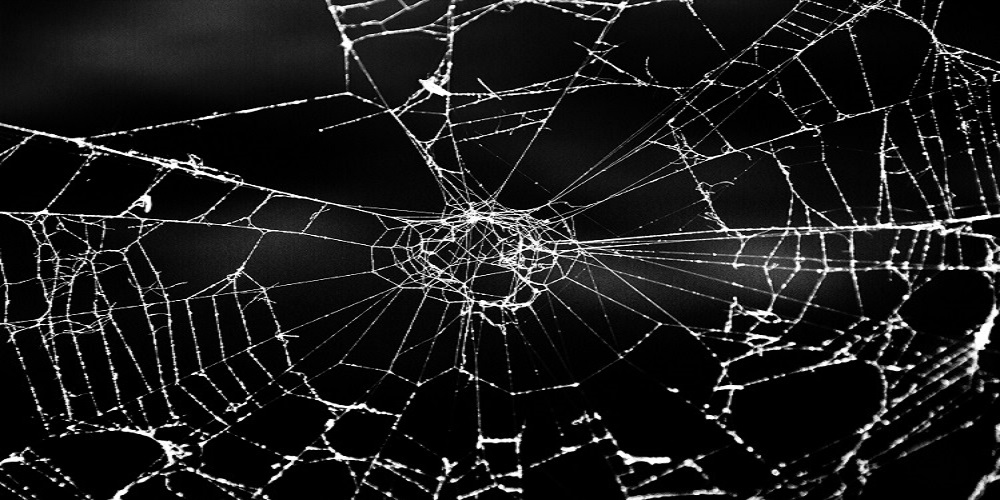 Classical Conditioning The Definitive Guide Biology Dictionary