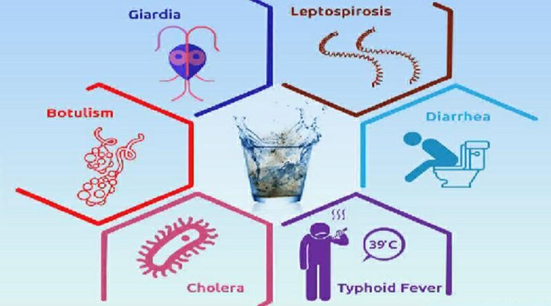 Water borne diseases Biology Ease