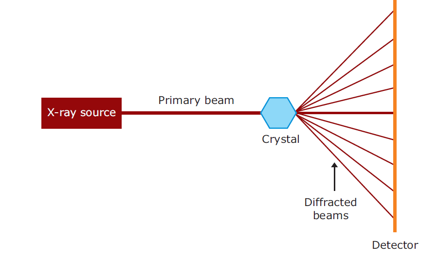 Xray crystallography Biology Ease