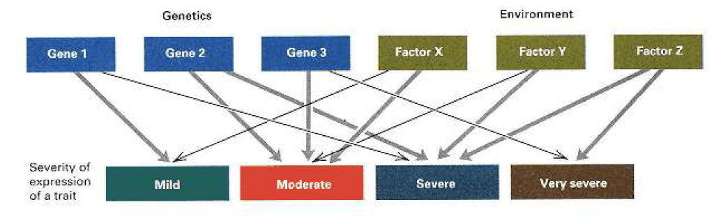 How Genes Determine Traits? Biology Ease