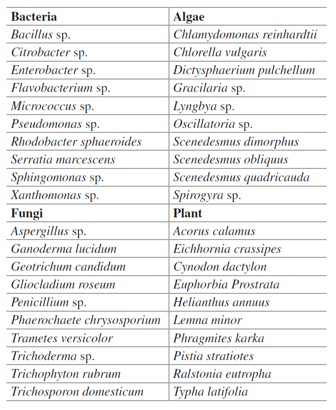 Role of and Plants in Biological Treatment of Industrial Wastewater Biology Ease