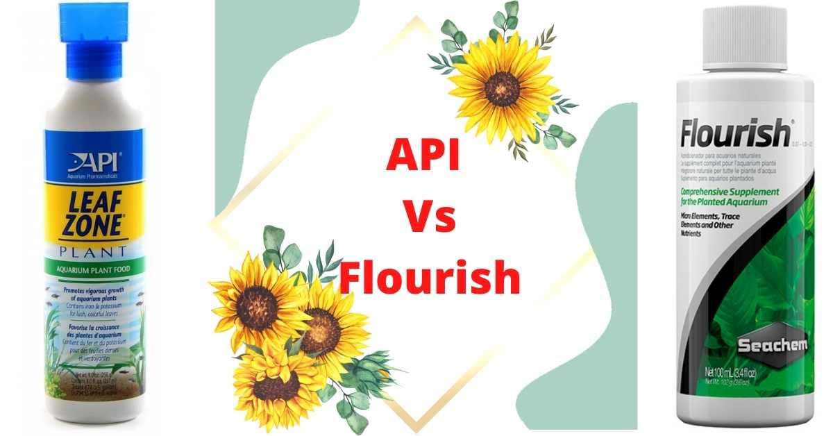API Leaf Zone vs Seachem Flourish Biology Educare